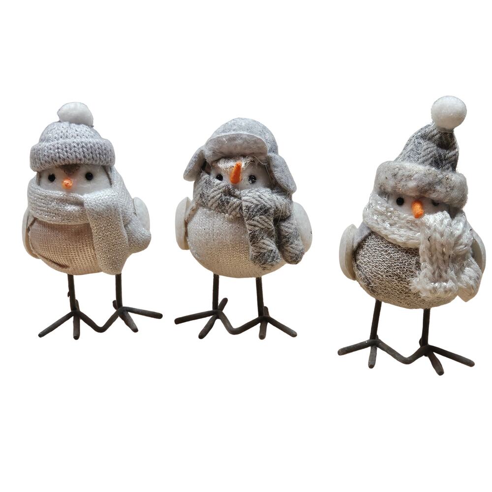 3 Target 2021 Wonder Shop Wondershop Featherly Friends Birds Christmas Winter